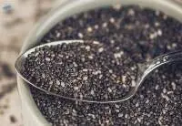Export Grade Premium Quality Chia Seeds