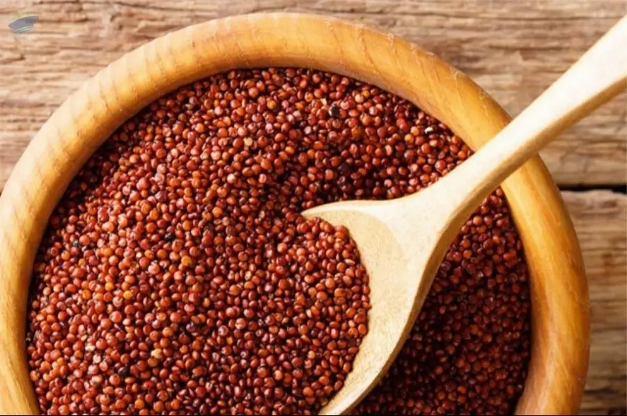 Premium Quality Edible Quinoa Seeds