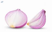 Onion