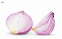 Onion