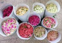 Assorted Fresh Spray Roses And Summer Blooms