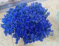 Premium Blue/Purple Statice Flower Stems