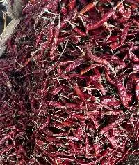 Premium Export Indian Dry Red Chilli