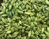 High Quality Premium Indian Green Cardamom