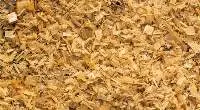 AA Grade Industrial Wood Chips