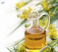 Premium Refined Canola Cooking Oil
