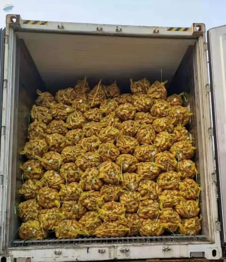 High Export Grade Quality Fresh Ginger