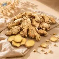Premium Export Quality Dried Ginger