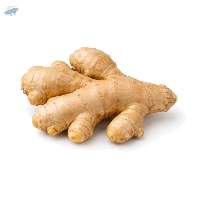 Fresh Ginger, Standard Export  Quality