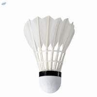 Badminton Shuttlecock