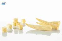 Frozen Baby Corn (IQF)