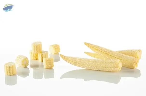 Frozen Baby Corn (IQF)