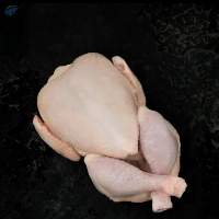 Premium Frozen Chicken Meat Product