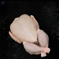 Frozen Chicken