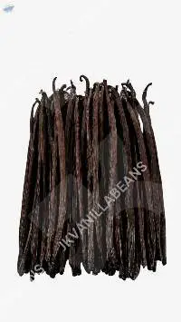 Vanilla Beans