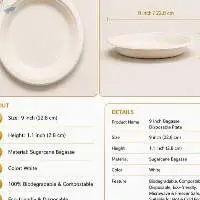 Bagasse Disposable Product