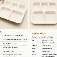 Bagasse Disposable Product