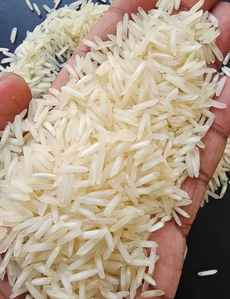 1121 Sella Basmati Steam Rice Export Grade