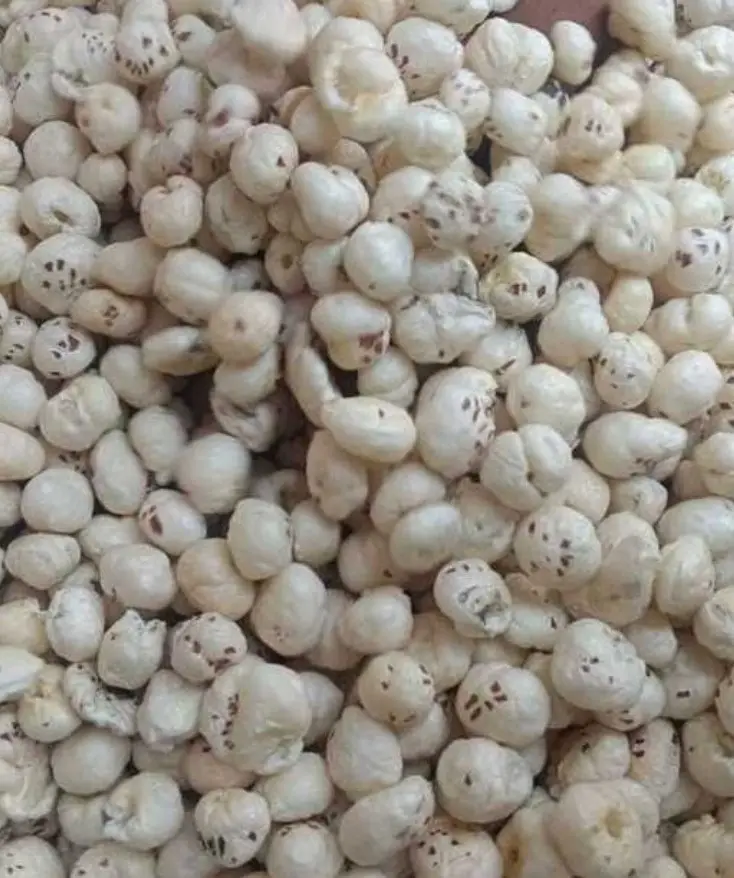 Premium Grade Pure Raw Makhana Foxnuts