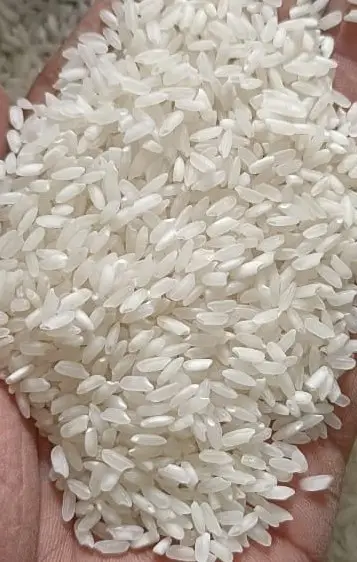 Premium Export Grade Quality Swarna Rice