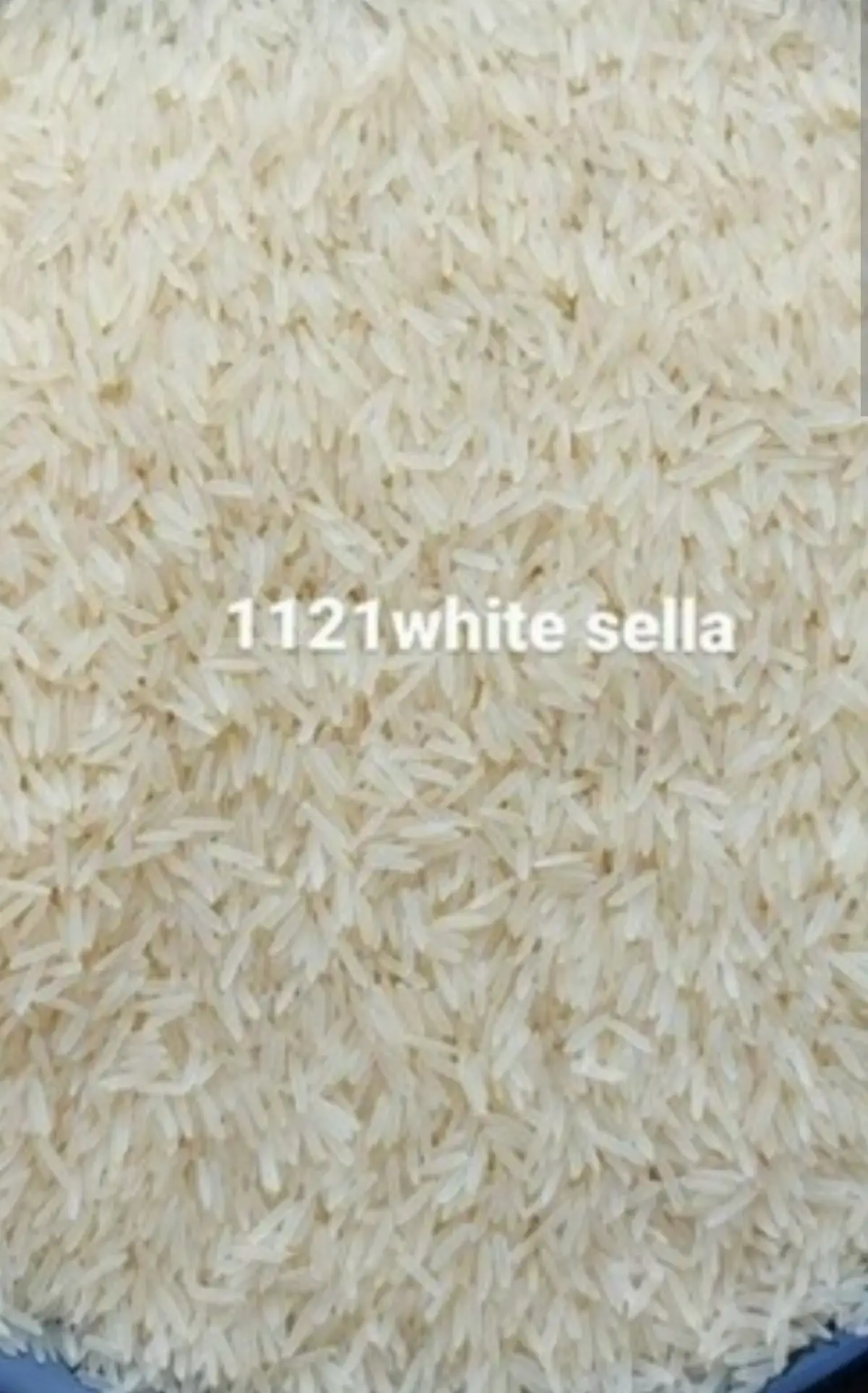 Premium 1121 White Sella Basmati Rice