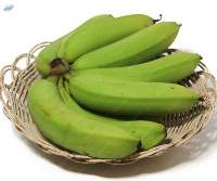 Green Cavendish Banana, Class A Premium