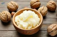 Premium Natural Shea Butter Export Quality
