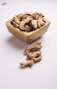 Natural Dried Ginger Root Premium Export Grade