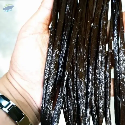 Vanilla Bean
