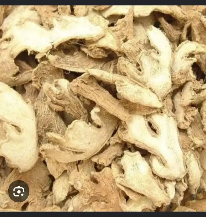 Ginger