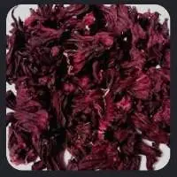 Hibiscus Flower