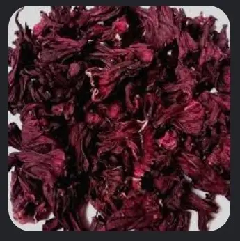 Hibiscus Flower