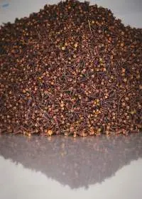Clove