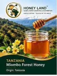 Tanzania Miombo Forest Honey