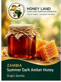 Zambian Summer Dark Amber Honey