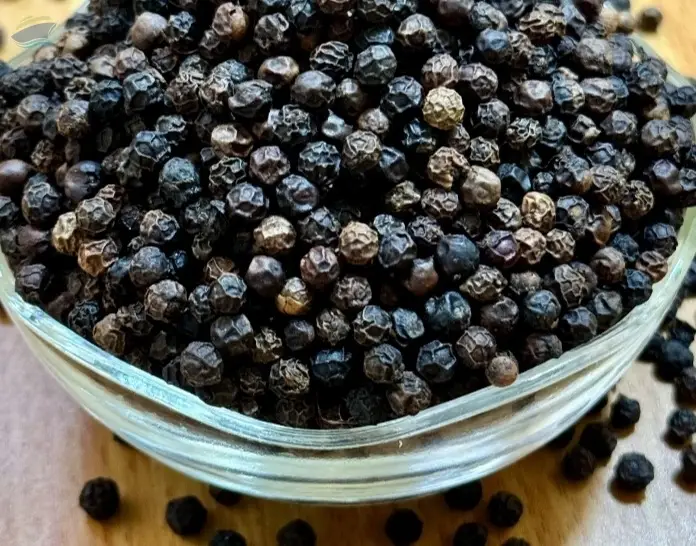 Black Pepper