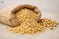 Soybean Meal 48% Protein - Animal Feed Bulk
