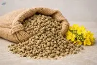 Rapeseed Meal - Animal Feed, Bulk Export