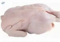 Premium Frozen Whole Chicken Export Supply