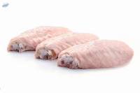 Premium Frozen Chicken Wing Flat Export