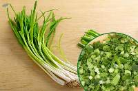Frozen Scallion Spring Onion Export Supply