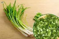 Frozen Scallion Spring Onion Export Supply