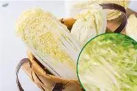 Premium Frozen Chinese Cabbage Export Supply