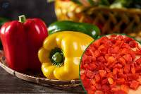 Frozen Colour Pepper Green Red Yellow Export