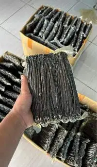 Vanilla Beans
