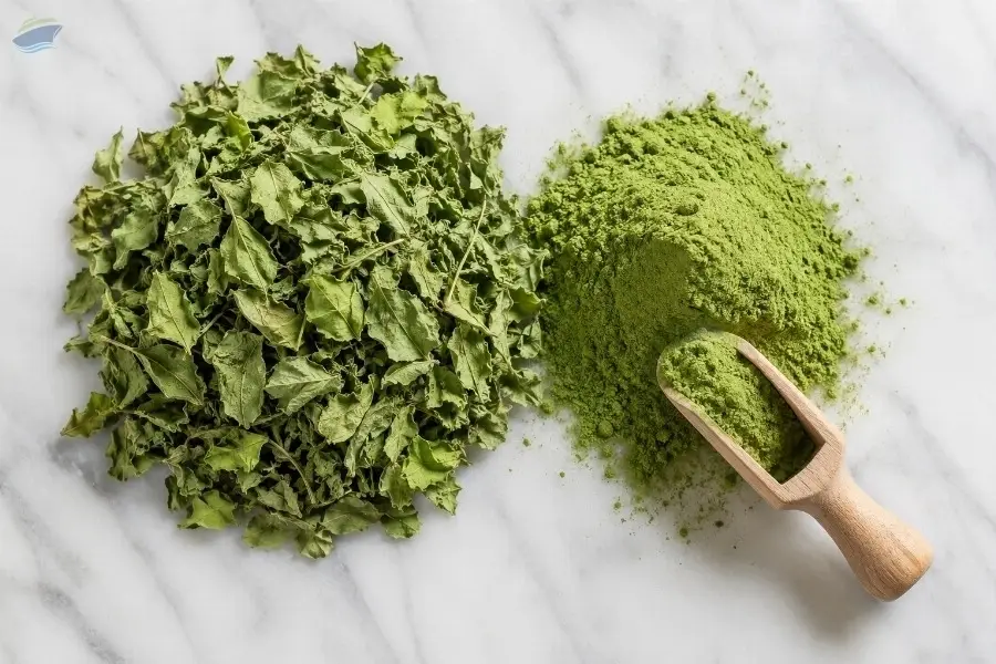 Moringa Powder
