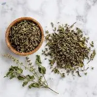 Tulsi (Holy Basil)