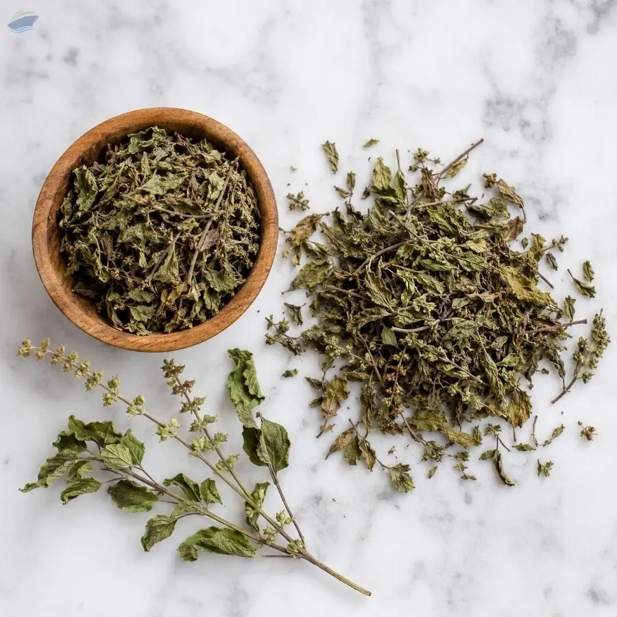 Tulsi (Holy Basil)