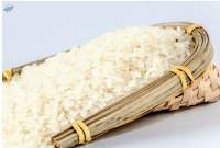 Premium Export Quality White Sella Rice