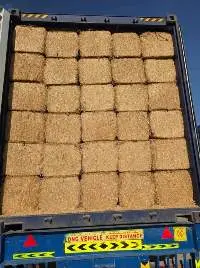 Wheat Straw